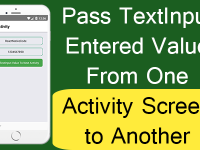 React Native Pass TextInput Entered Value From One Activity Screen to Another